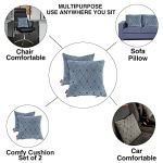 Elegant Comfy Cushion Pillow Grey Set of 2 CU01