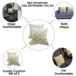 Elegant Comfy Cushion Pillow Beige Set of 2 CU02