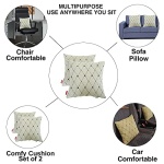 Elegant Comfy Cushion Pillow Beige Set of 2 CU01