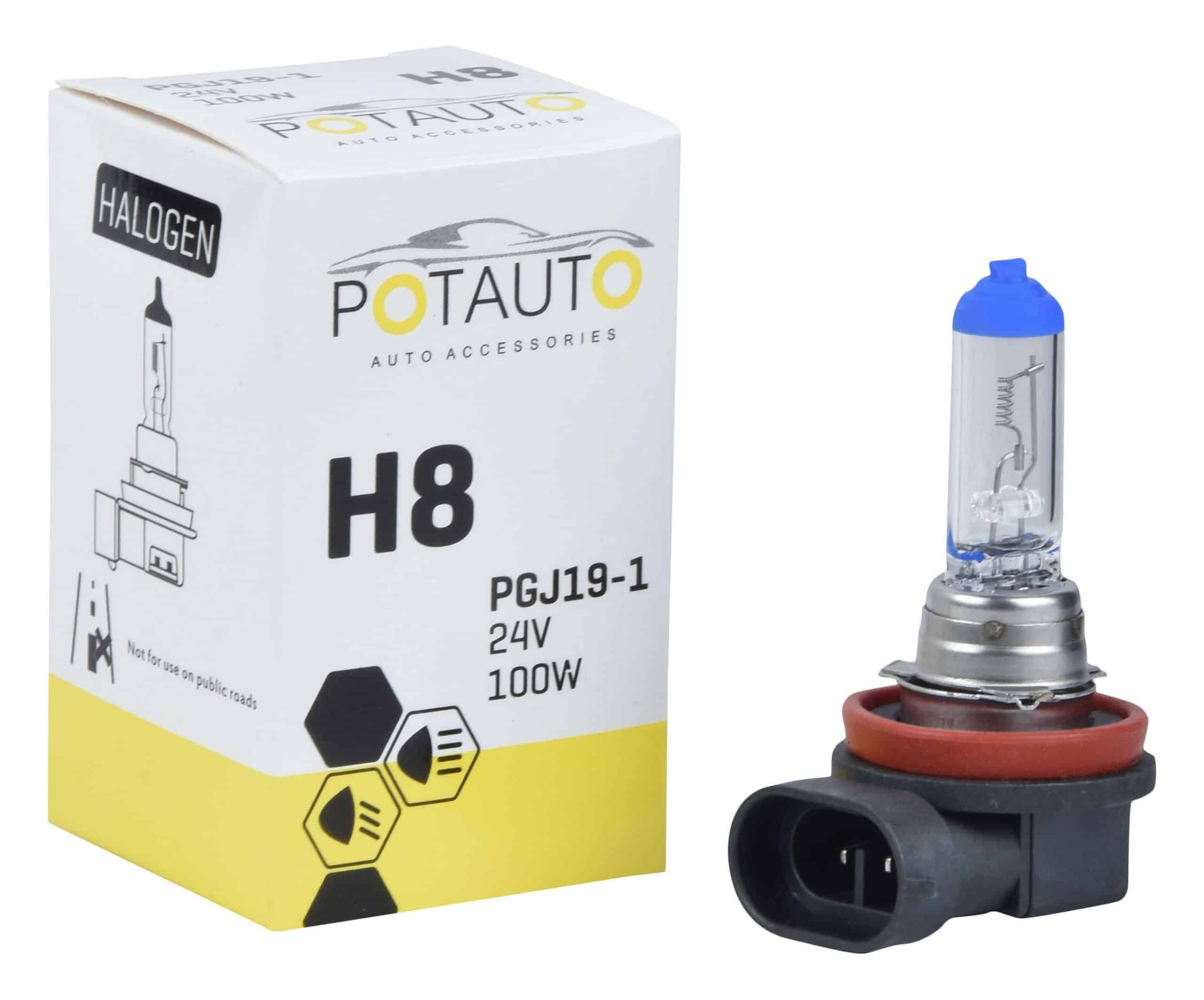 Potauto H8 Headlight Bulb PGJ19-1 24V 100W
