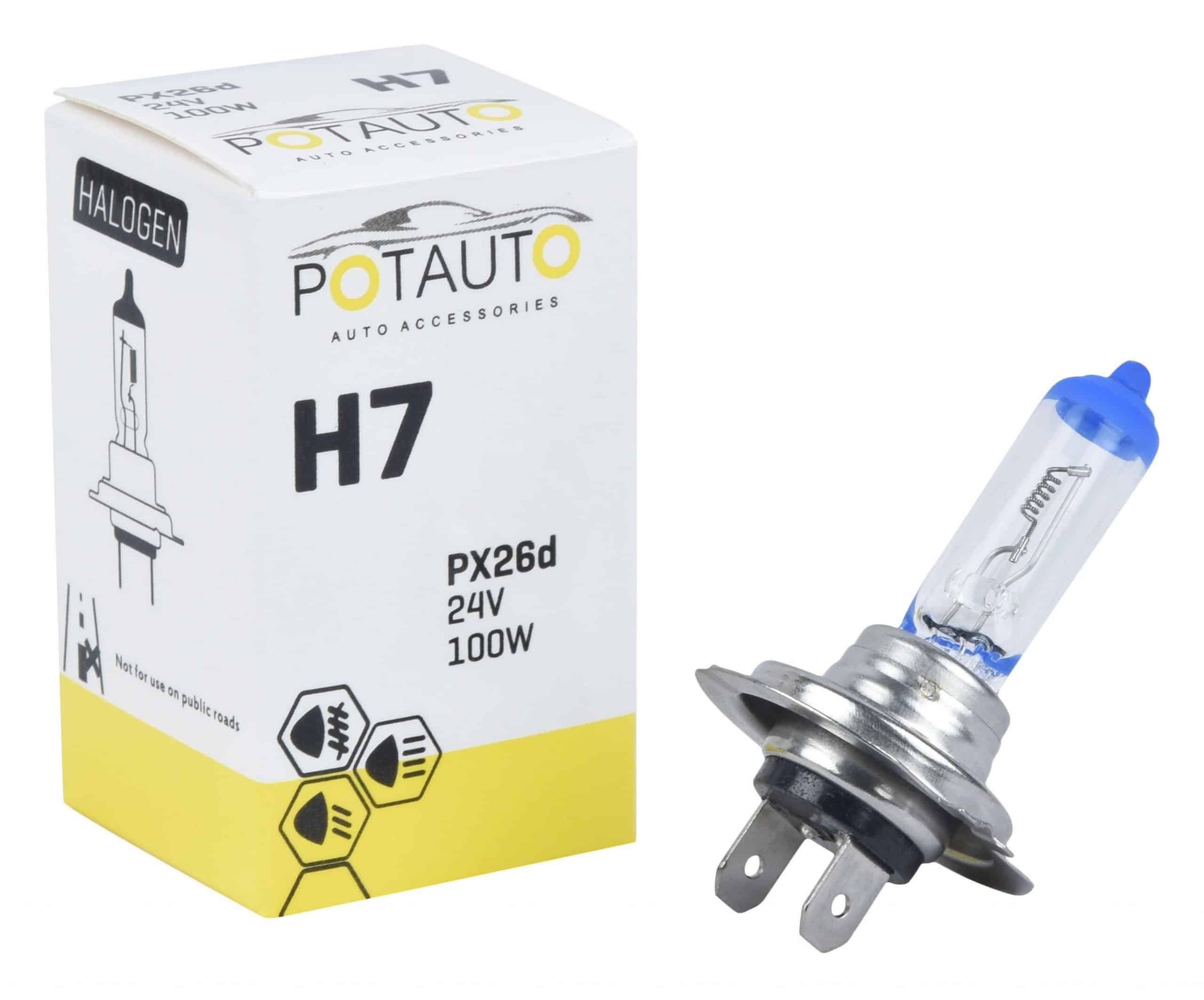 Potauto H7 Headlight Bulb PX26D 12V 100W