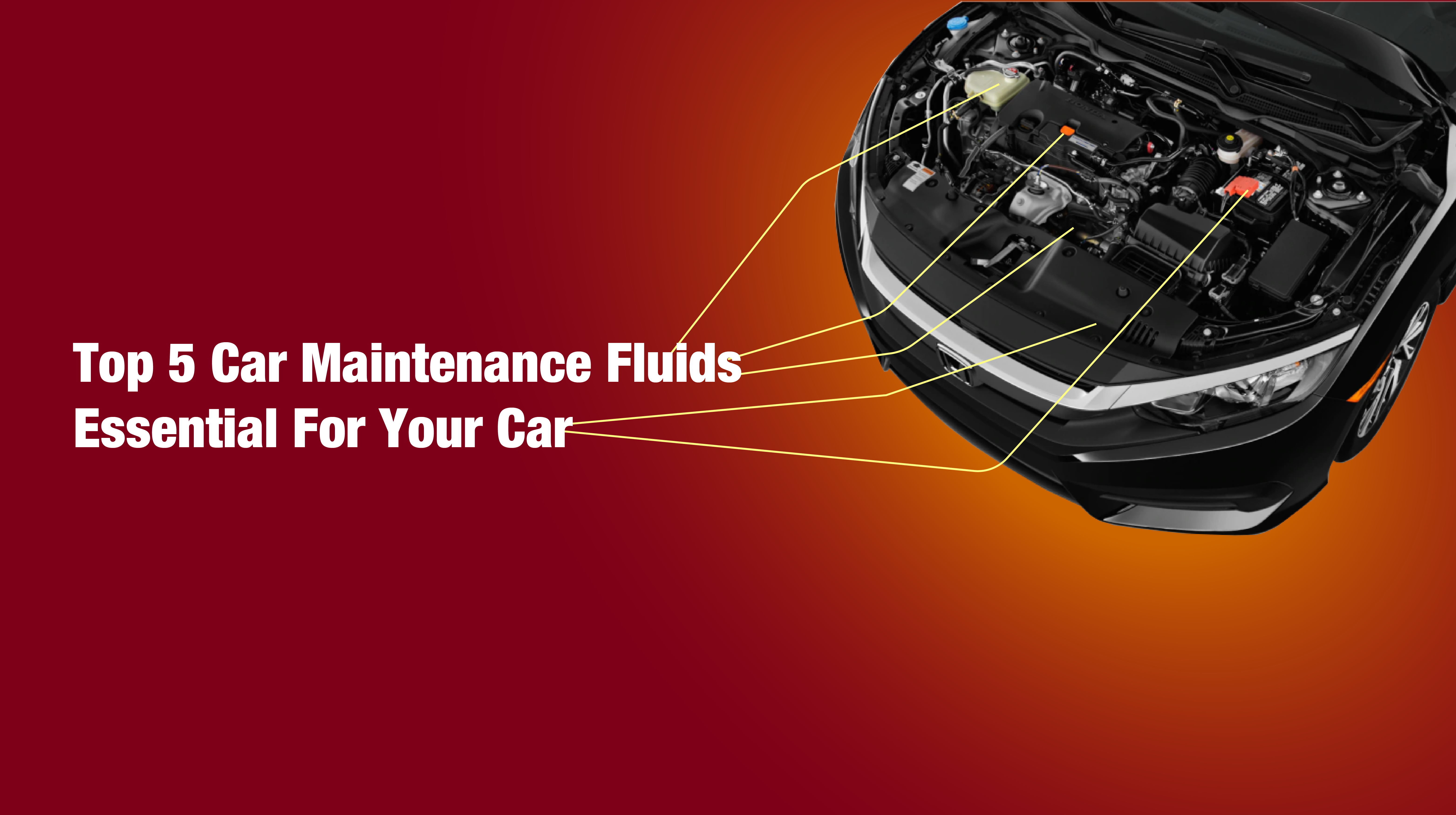 Car Maintenance Fluids Essential For Your Car