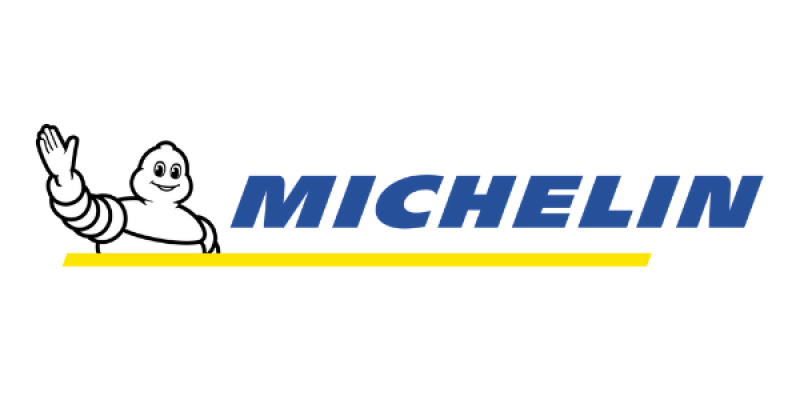 Michelin rainforce traditional wipers
