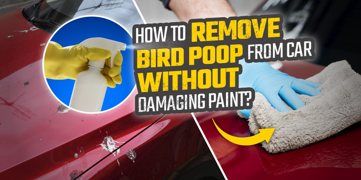 How to remove bird poop from Car