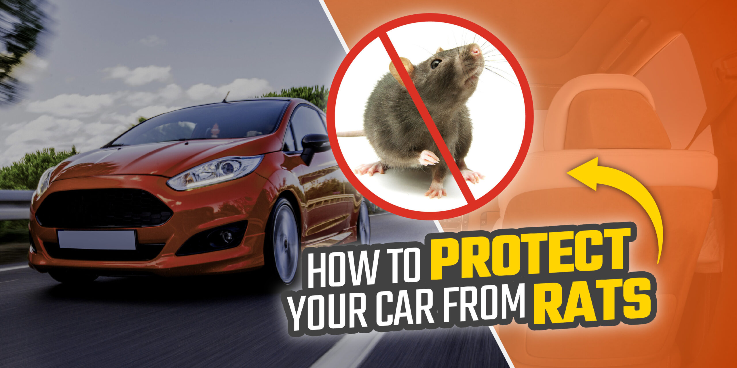 How to Protect Your Car From Rats