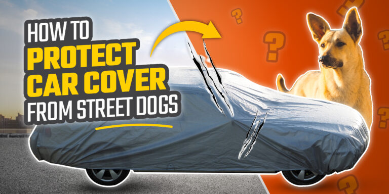 Read These 9 Tried and Tested Hacks on How to Protect Car Cover From Street Dogs