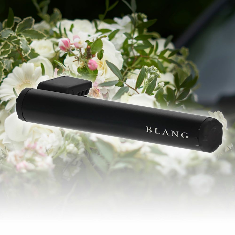Blang Air Control Stick Classic Musk - H1535